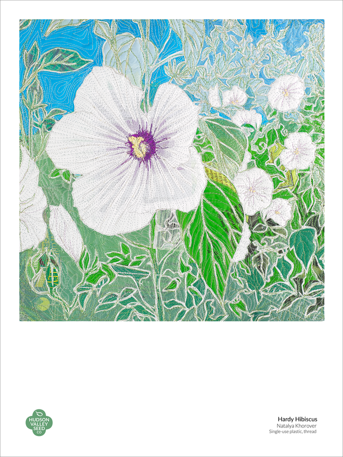 Hardy Hibiscus Fine Art Poster