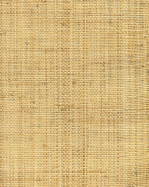 HINSON MADAGASCAR - COARSE WALLCOVERING