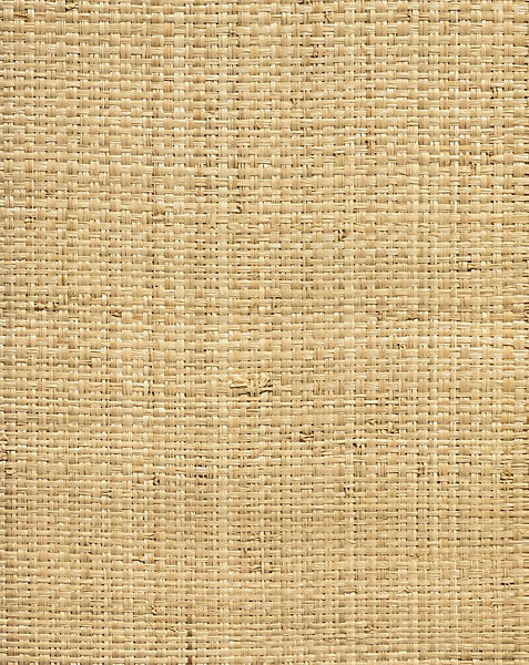 HINSON MADAGASCAR - GRAND WALLCOVERING