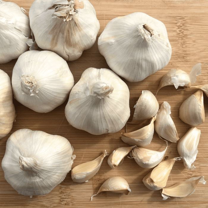 Inchelium Red Softneck Garlic