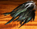 Iridescent Black Schlappen