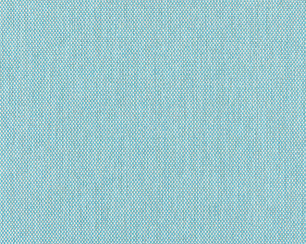 Isidro Fabric