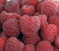 Joan J Raspberry