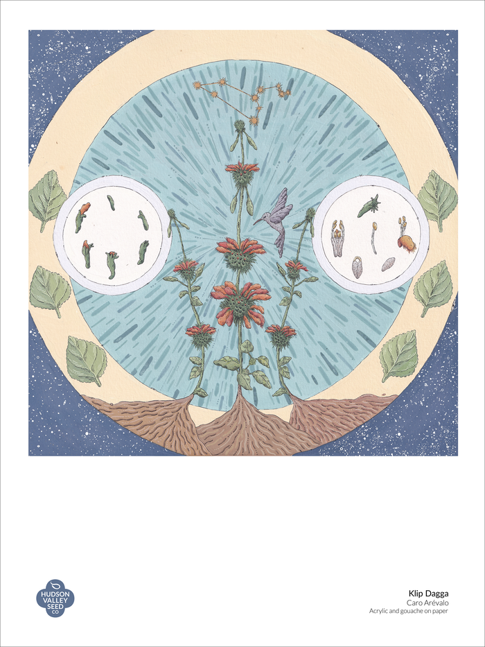 Klip Dagga Fine Art Poster