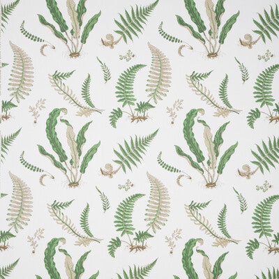 Lee Jofa Ferns Print