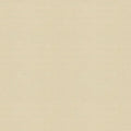 Lee Jofa Modern Canopy Solid