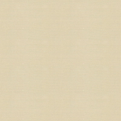 Lee Jofa Modern Canopy Solid