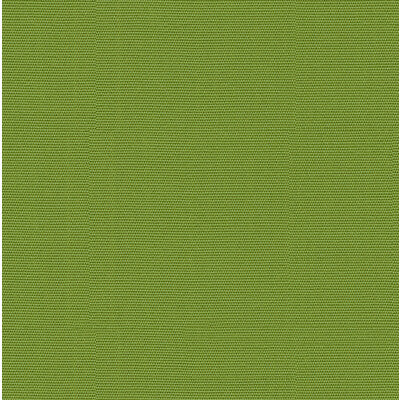 Lee Jofa Modern Canopy Solid