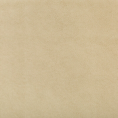 Lorelle Fabric