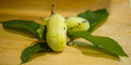 Mango Paw Paw - Raintree Nursery