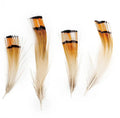 Marabou Brothers Pheasant Golden Plumage