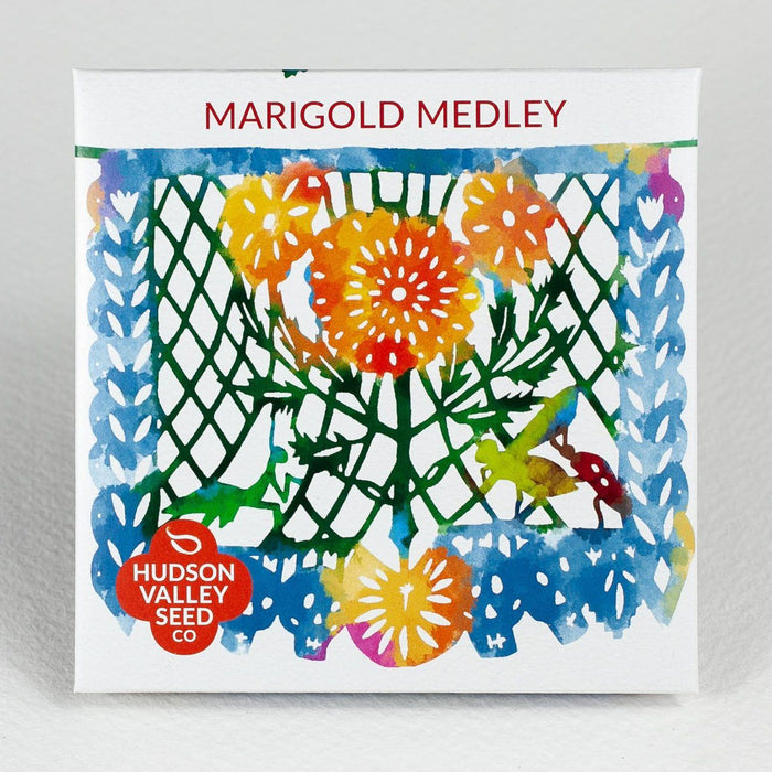 Marigold Medley vendor-unknown