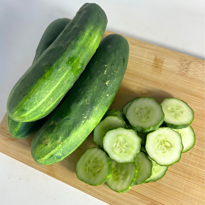 Marketer Cucumber Seedling
