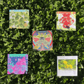 Medicinal Herbs Starter Kit