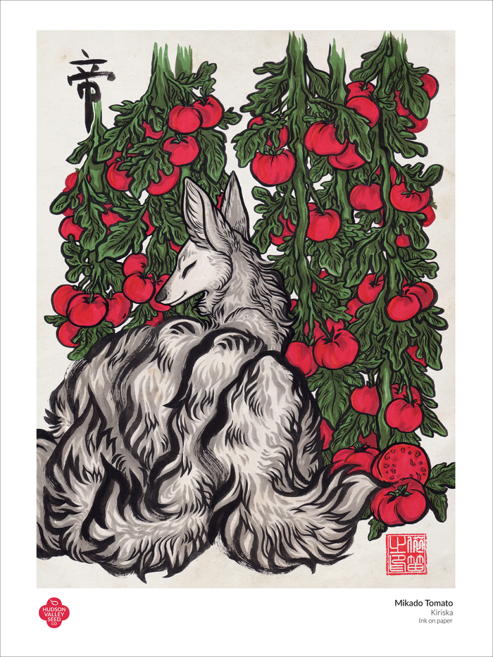 Mikado Tomato Fine Art Poster