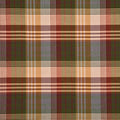 Mulberry Ancient Tartan