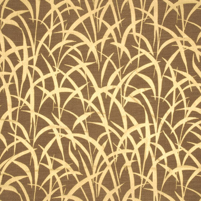 Mulberry Grasses