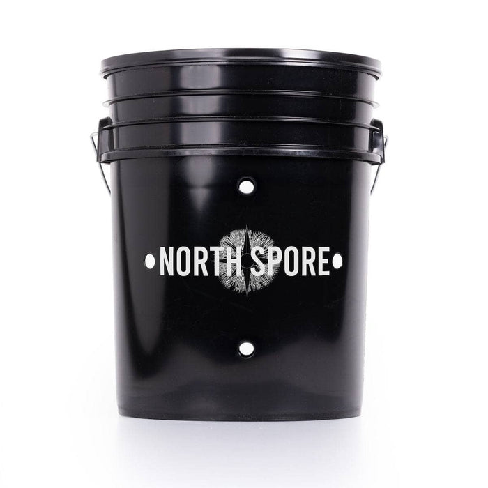 'MushBucket' Blue Oyster Mushroom Bucket Grow Kit