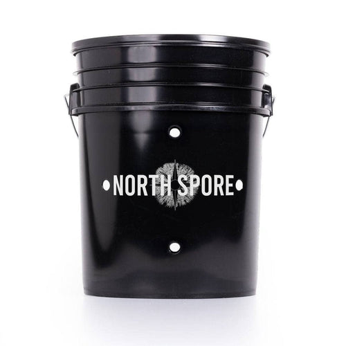 'MushBucket' Blue Oyster Mushroom Bucket Grow Kit