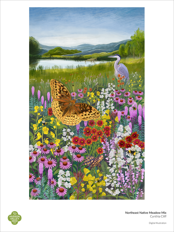 Northeast Native Mix Fine Art Poster