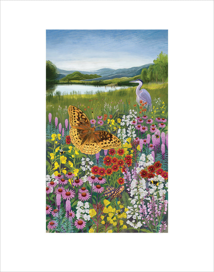 Northeast Native Wildflower Art Print ~Unsigned~