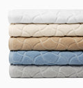 Oasi Collection