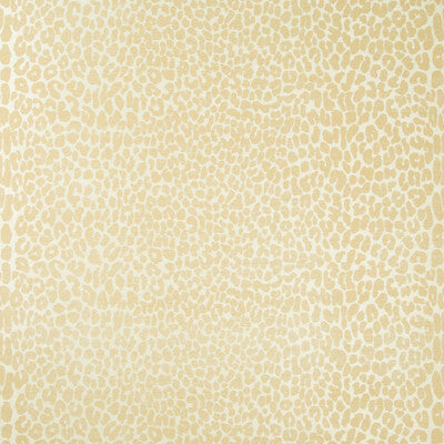 Ocicat Paper