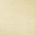Ocicat Paper