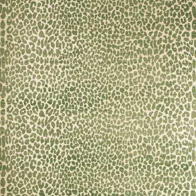 Ocicat Paper
