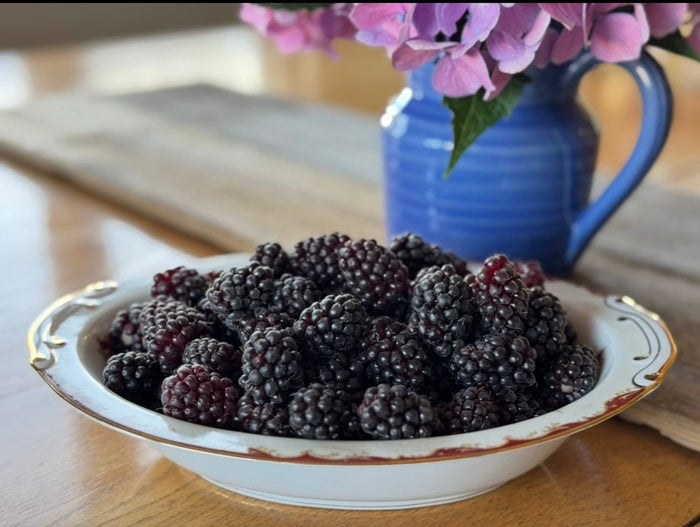 Olympic Berry