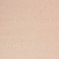 Palmier Fabric