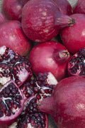 Parfianka Pomegranate - Raintree Nursery