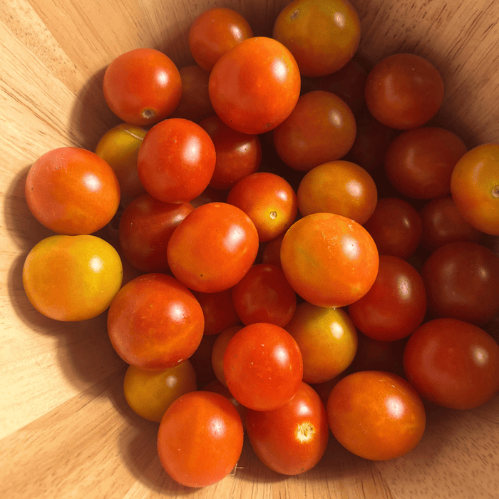 Peacevine Tomato