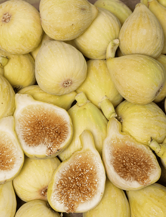 Peter's Honey Fig