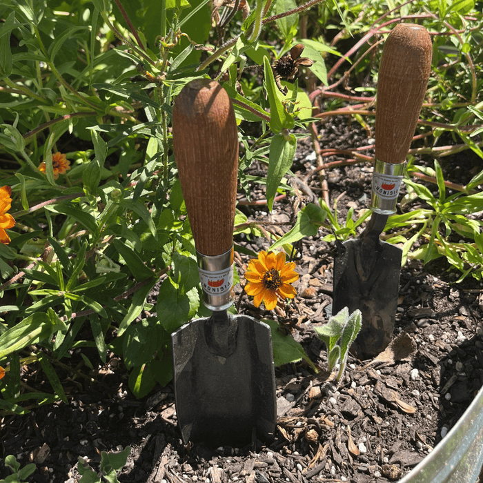 Piginor Large Trowel