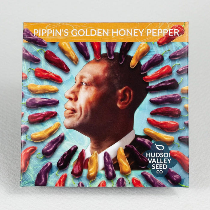 Pippin's Golden Honey Pepper Hudson valley Seed Co