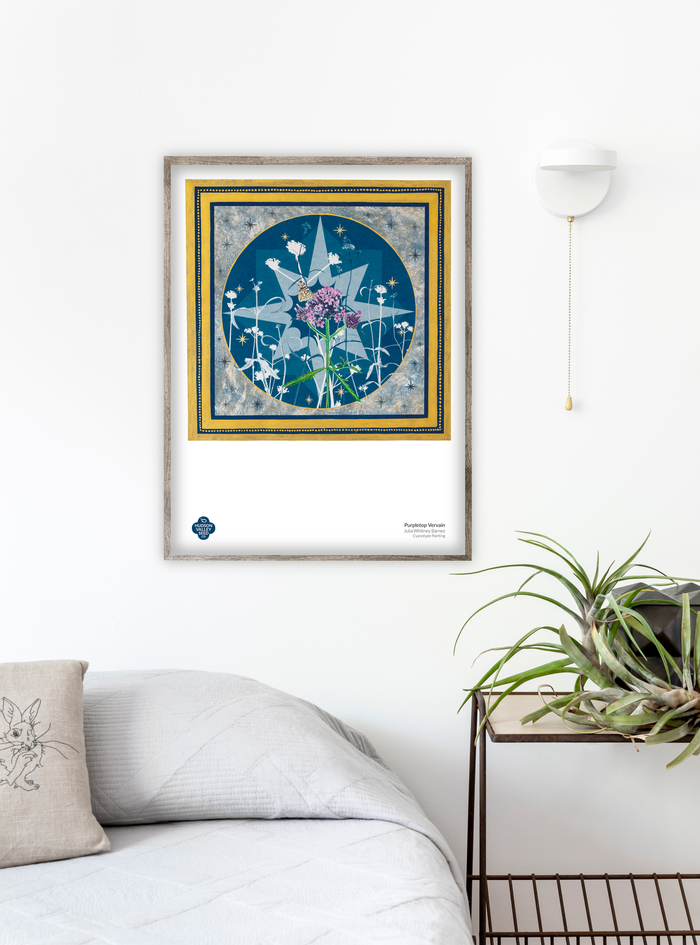 Purpletop Vervain Fine Art Poster