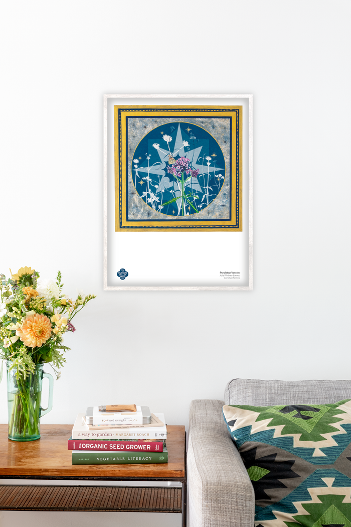 Purpletop Vervain Fine Art Poster