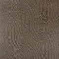 Rainbow Fabric