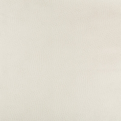 Rainbow Fabric