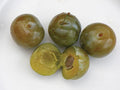 Reine Claude Doree European Plum - Raintree Nursery
