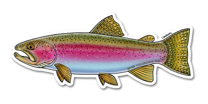 River Collective Fish Sticker