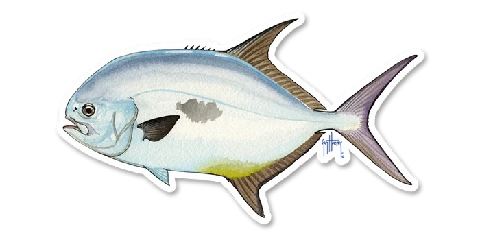 River Collective Fish Sticker