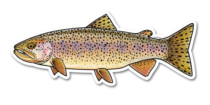 River Collective Fish Sticker