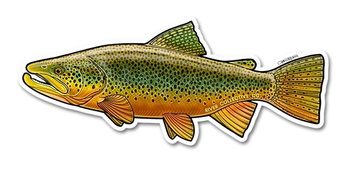 River Collective Fish Sticker