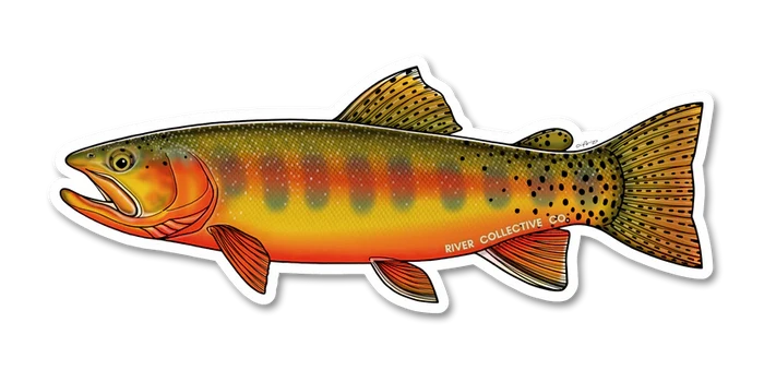 River Collective Fish Sticker