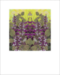 Ruby Moon Hyacinth Fine Art Print vendor-unknown