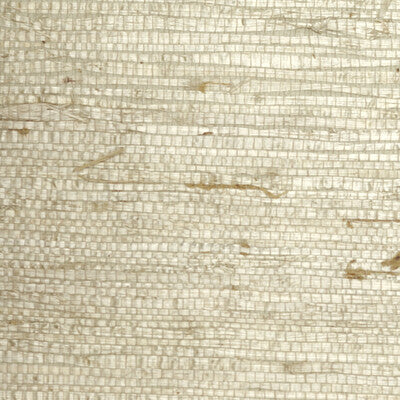 Sameera Paper Wallpaper