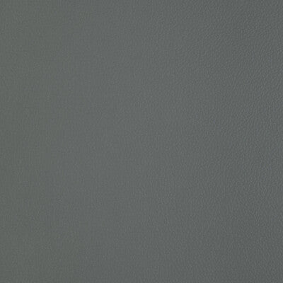 Santos Stripe Fabric