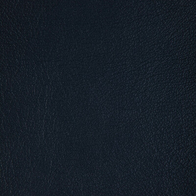 Santos Stripe Fabric